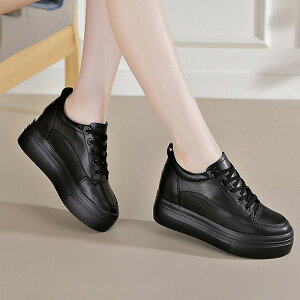 Xj[J[ fB[X  Cq[ EFbWq[ C\[ X|[eB TCY V[Y C r ʋ ʊw   JWA ₷   ba009n1n1m5