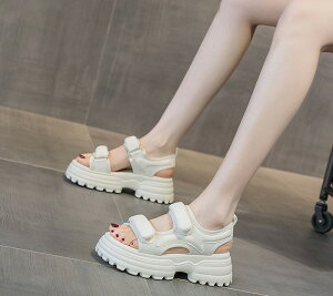 X|[c T_ fB[X T_ V[Y X|[cT_   Ȃ xN r Ƃ xg C  l Vv ₷ 芴 傫TCY 