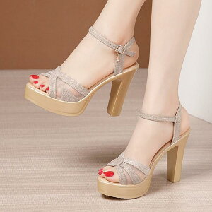 XgCvT_ bV q[T_  T_ T_ fB[X Ƃ ANXgbv 傫TCY TCY Sn悢  r l  C