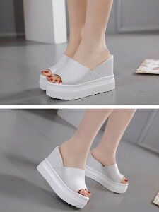 T_ fB[X EFbW\[ ₷ ɂȂ ɂ r y  ~[  q[11cm 傫TCY y T_ d   U o