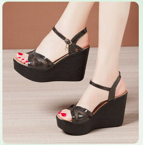 EFbW\[ T_ T_ q[11Z` Xgbv AN I[vgD  T_ xg  ɂ EGbW\[ RtH[g TCY 傫TCY 