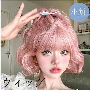 EBbO V[g @킢  i g [^ lolitat@bVwig R ×pEBbO sNF  fB[X RXvOR ×p t[TCY