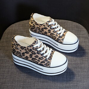 Xj[J[ fB[X y qE V[Y C Cq[ Xj[J[ q[9cm LoXV[Y Xj[J[  t H JWA r 21.5 22.0 22.5 23.0 23.5 24.0 24.5 di094t2