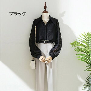 Vc uEX  ʋ     A AE N[g ʐ gbvX  d tH[} X[c Ci[ ItBX ei256t2t2l9