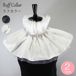 t tJ[   [bp M Ђ btJ[ sGJ[ t  jp Y fB[X jp p RX`[ RXv   