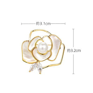 u[` lHp[ t S[WX  ւ΂ RT[W zCg u[`s  Ǝ  w   CXg[ ANZT[ tH[} Zj