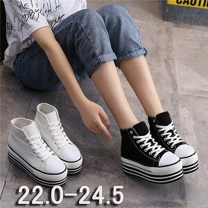  Xj[J[   fB[X q[7cm Cq[ Xj[J[ ؍  C t JWA i r ʊw ₷ ؍ ʋ ubN zCg di051zbzbx2