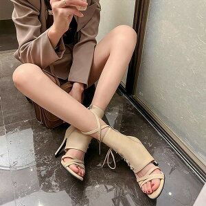 T}[u[c u[cT_ fB[X  bvT_  ꂢ ₷ I[vgD sq[ y ru[cT_ V[Y u[c OfBG[^[ C  