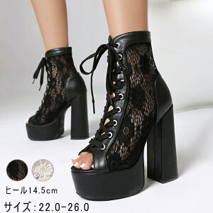 T}[u[c fB[X u[cT_  r ʋC   bVu[c T_ `L[q[ q[ 14.5cmq[ [XAbv nCq[ gAbv r 