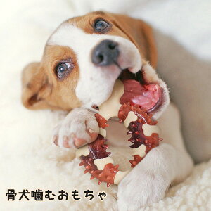 ybg ^ t t ʂ̂ hbOgC ̂  ق ł  ȓt p   ł  ybgpi@k2