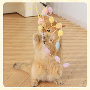 1000�~�|�b�L�� �L����炵 �L�p�������� �������� �L�p�i �ނ�� �l�C �L�̑�D�� �����L �X�g���X���� �y�b�g�O�b�Y �y�b�g�p�i �l�R neko�@��t���@k2131zb