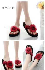 T_ fB[X gOT_ r[`T_ T_ RT[Wt EFbW\[ ƂȂ 傫TCY TCY i JWA  C v[ s ][g