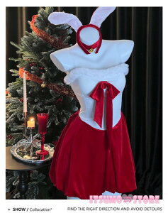 T^ RXv fB[X s[X { Xmas NX}X ~  Cxg ߑ T^ T^N[X  T^RX G  RX`[ p[eB mm003zb