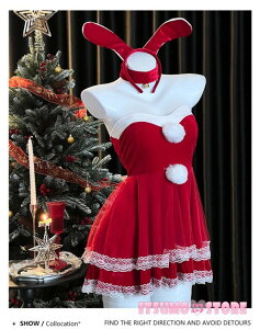 T^ RXv fB[X s[X  Xmas NX}X ~  Cxg ߑ T^ T^N[X  T^RX G  RX`[ p[eB mm006zb