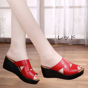 fB[X ~[ EFbW\[ T_  T_₷ ɂȂ ɂ傫TCY r y y T_ d    U o ubNd