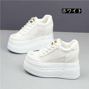 bVXj[J[ fB[XV[Y C Xj[J[  JWA Cq[Xj[J[ EGbW\[ [XAbv [Jbg V[Y fB[X V[Y Xj[J