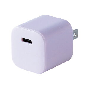 yVizUSB-C}[dA_v^[ PD20WΉ RpNgy PD20WΉ TYPE-C1|[g ACA_v^[ PSE}[NKi