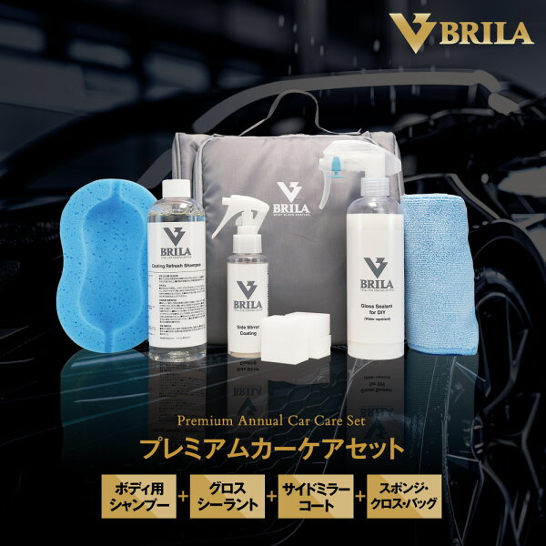 BRILA  プレミアムカーケアセット 洗車用品 簡単施工  カーシャンプー 撥水コーティング サイドミラーコーティング  DIY 日本製 プロ PSJ912