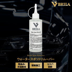 BRILA ウォータースポットリムーバー 洗車用品 カーシャンプー スケール除去 水垢除去 DIY 日本製 プロ PSJ6421200001