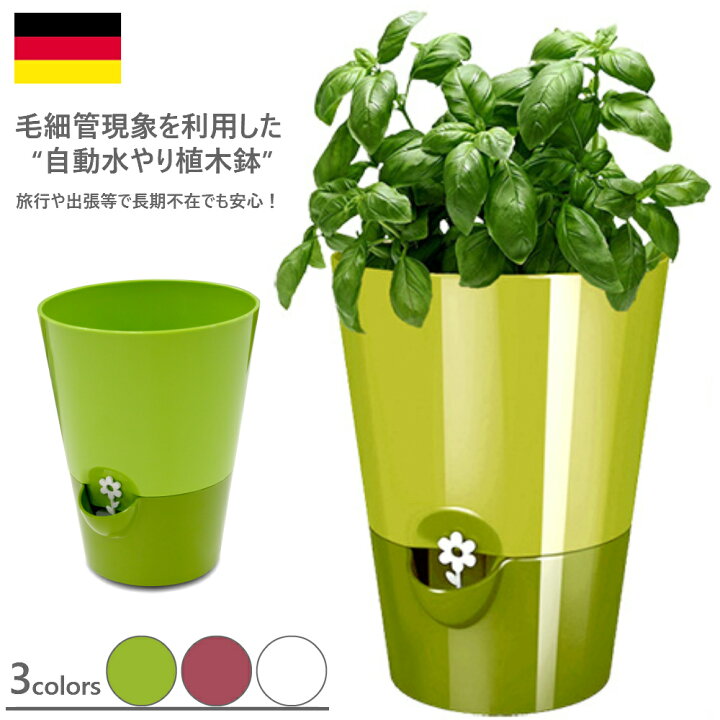 楽天市場 3色 エムザ フレッシュハーブ ハーブポット グリーン ホワイト ピンク 自動水やりポット ドイツ 植木 鉢 おしゃれ 軽量 プランター 花 栽培 乾燥防止 花 シンプル 家庭菜園 ガーデニング エクステリア 室内 ギフト めちゃsmart