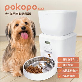 犬・猫用 自動給餌器 POKOPO EZ2 餌やり機 4L 猫 犬 音声録音機能 タイマーセット 水洗い可能 おやつ ごはん 乾燥剤BOX フードディスペンサー メーカー1年保証