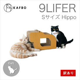 楽天市場 猫 おもちゃ 訳ありの通販