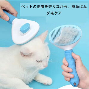 y11/3܂łɌ艿i@P5{ zAL uV  ybg ybguV  R[ ю ubVO Z  O[~O XbJ[uV ыʎ  ybg̖ L̖ 