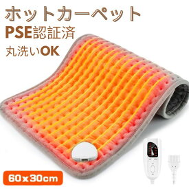 【お買い物マラソンラスト5時間限定クーポンで2980　P5倍】即日発送，ホットカーペット ミニ【省エネ・速暖】電気カーペット 一人用 ホットマット 軽量 コンパクト 足元ヒーター 洗える 洗濯可能 60×30cm 6段階温度調節 防寒保温 ホットマット タイマー機能付き