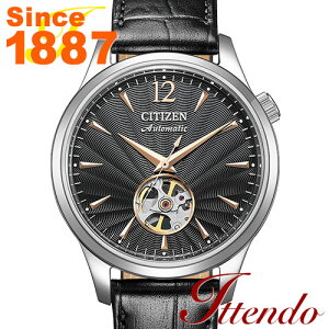 シチズンコレクション CITIZEN COLLECTION NH9131-14E メンズ 腕時計 機械式(自動巻き+手巻き)