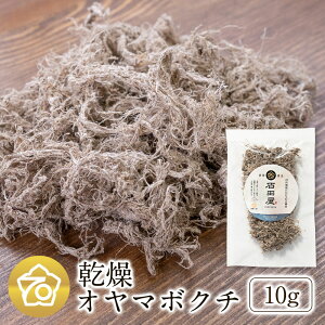 MBY ƍ͔| I}{N`  Ȃ  1 10g ( ł 16`18lO) Γc O Ή