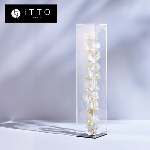 Ӓ hCt[ IWiMtg@a LO JXj   KX GRANDIOSO L