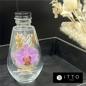 Ӓ hCt[ IWiMtg@a LO JXj   KX BOTTLE FLOWER