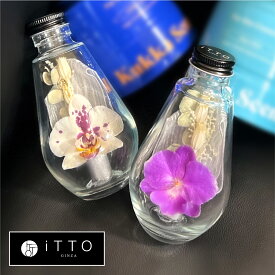 胡蝶蘭 ドライフラワー オリジナルギフト　誕生日 記念日 開店祝い お供え 仏花 ガラス BOTTLE FLOWER