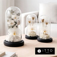胡蝶蘭 ドライフラワー オリジナルギフト　誕生日 記念日 開店祝い お供え 仏花 ガラス LEDライト