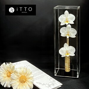 Ӓ hCt[ IWiMtg@a LO JXj   KX leggiero WF\@3