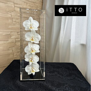 Ӓ hCt[ IWiMtg@a LO JXj   KX leggiero 5