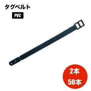 l[^Oxg PVC 2{ 50{ QbW^O StobO gxobO s΂ X[cP[X L[P[X l[v[g D ڈ s e 50{