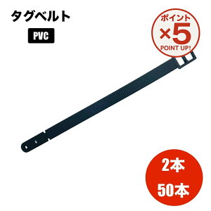 yP5{I11/17()9:59܂Łz l[^Oxg PVC 2{ 50{ QbW^O StobO gxobO s΂ X[cP[X L[P[X l[v[g D ڈ s e 50{