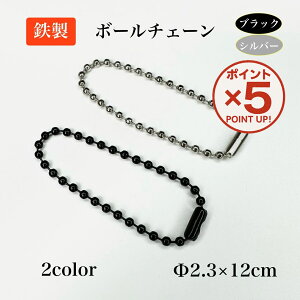 yP5{I12/1()23:59܂Łz S {[`F[ 2.3×12cm 10{ 100{ 2F bL Vo[ ubN RlN^[t ANL[ AN L[z_[ ~j  ObY nhC