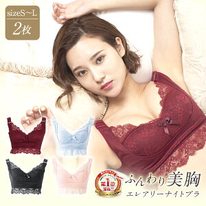【シルバーウィークも毎日発送】エレアリーナイトブラ 2枚セット ナイトブラ 育乳 バストアップ バストケア ブラジャー バストケア 夜用 補正 ノンワイヤー ワイヤレス あす楽 送料無料 【公式】