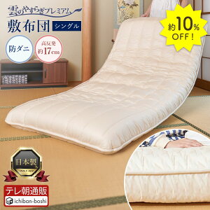 20%OFF111:59P10{yz ~zc VO zc _̂₷炬 v~A       Ɍ 17cm  ̈U h_j hL R  ґr [k_E z