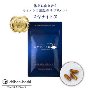 _̂₷炬v~A XiCg 30(30)  Tv GAVA Tvg AR GABA100mg z {