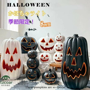 nEB J{`[hCg X}C ڂ ^ ~ pvLCg J{` ZuCg unEB[ dr  O t 