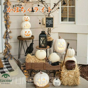 nEB  J{` O  u ڂ჉Cg 15 J{`^Cg CeA ڂჂ`[t Op^ LEDCg dr  fR[V halloween ObY p