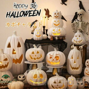 nEB J{`[hCg X}C ڂ ^ ~ pvLCg J{` ZuCg unEB[ dr  O t 