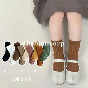 C LbY 5Zbg ̎q j̎q q \bNX XgbLO MX jbg X|[c ^Cc WjA xr[ Ԃ  j ۈ牀 c w  ʊw ʉ  