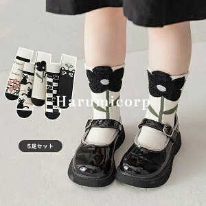 C LbY 5Zbg ̎q j̎q q \bNX XgbLO MX jbg X|[c ^Cc WjA xr[ Ԃ  j ۈ牀 c w  ʊw ʉ  