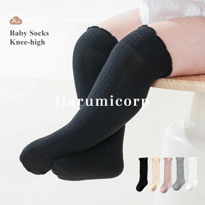 C xr[ ~ nC\bNX LbY xr[G \bNX LbY\bNX \bNX  Rbg V  j̎q ̎q t E LbYC xr[C qt H~ ۈ牀 c