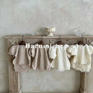 y6%OFFN[|zZbgAbv LbY p[X xr[ ̎q j̎q V gbvX  V[gpc q ĕ ㉺Zbg Ԃ ؍qǂ   a o