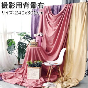  wiV[g Bepwiz TCY240*300cm X^WIwiXN[V[g ʐ^ wiz Be p obN XN[ V[g X^WI z S13F pr